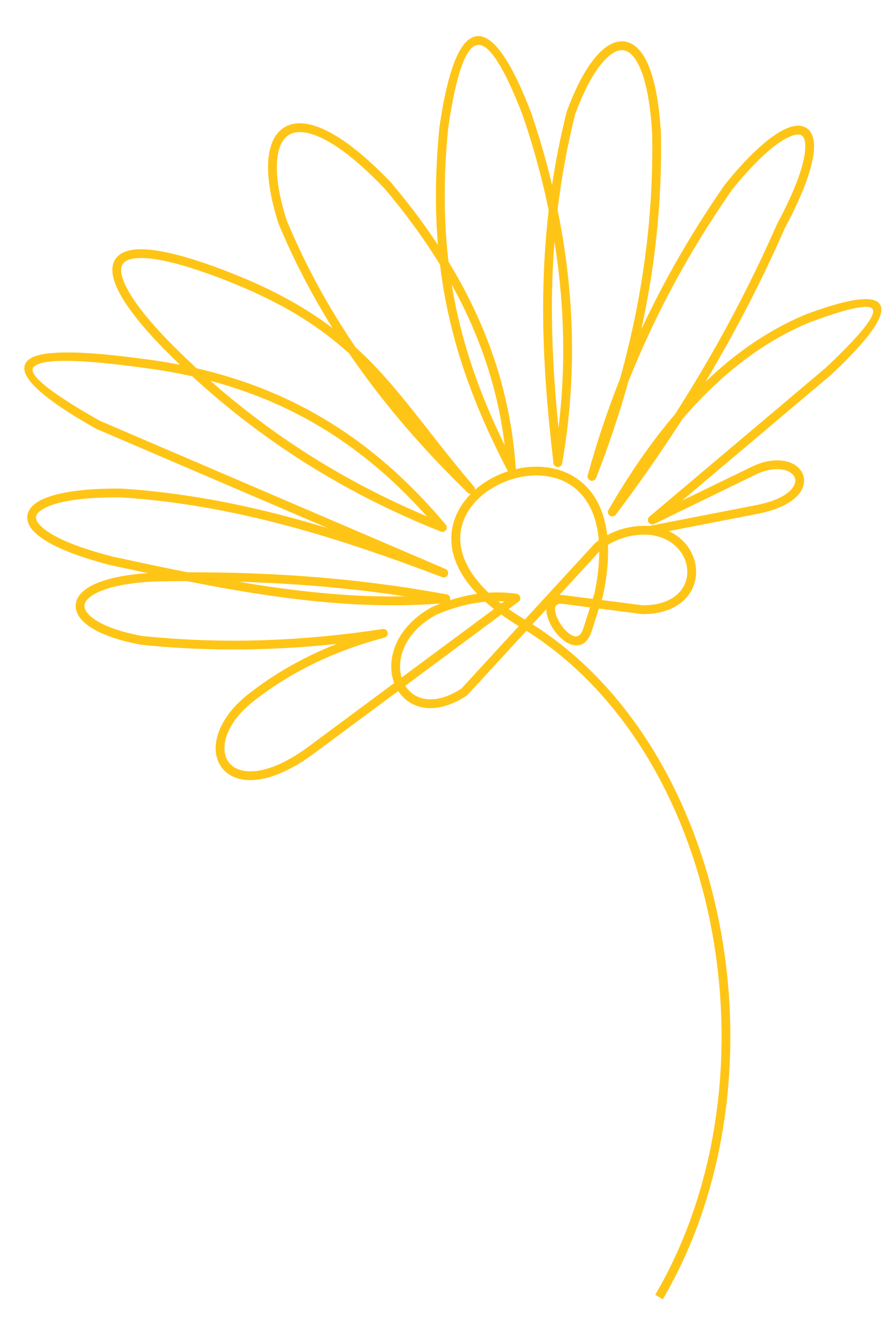 Flor